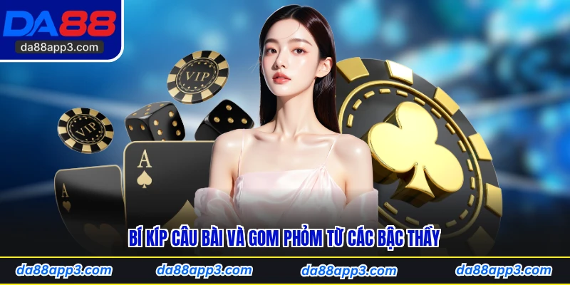 Bí Kíp Câu Bài Và Gom Phỏm Từ Các Bậc Thầy