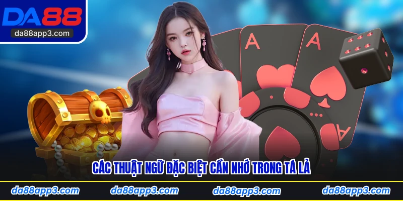 Các Thuật Ngữ Đặc Biệt Cần Nhớ Trong Tá Lả